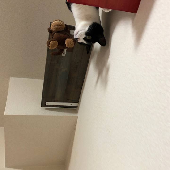 D6480109 59dc 4d05 a7c6 96a90cc3732e 1547163915159