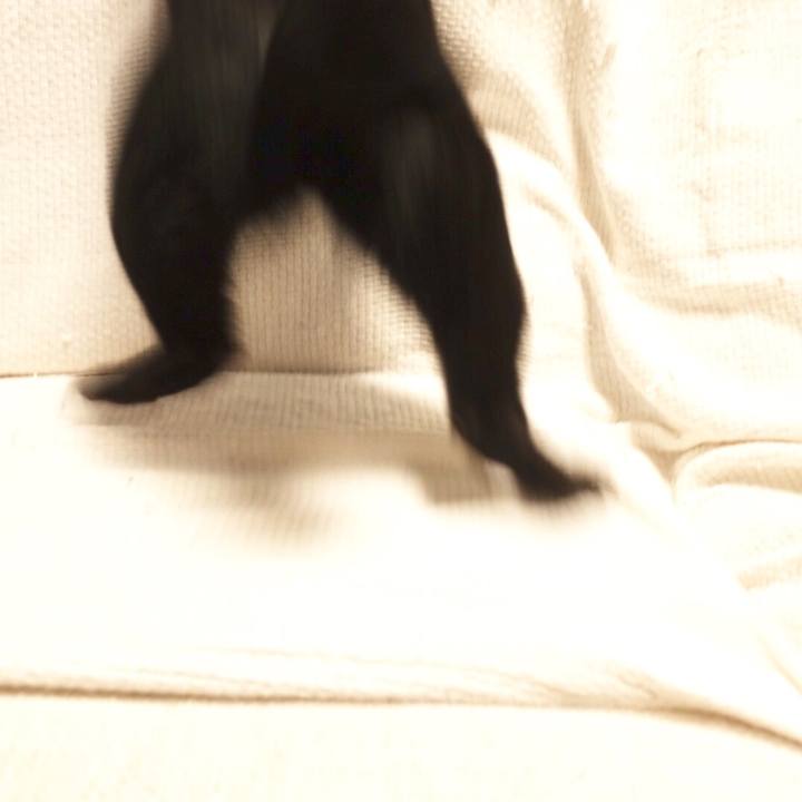 D64808a5 1c91 4395 aede 7a59275111c6 1548972582401