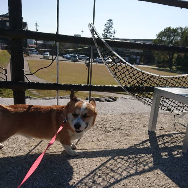 D6481165 5937 423c 95e1 4daf72082919 1605316112168