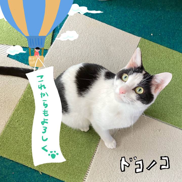 D6488859 9fb2 4f9b 9fa2 0fd3d2e5ffe4 1685975001295