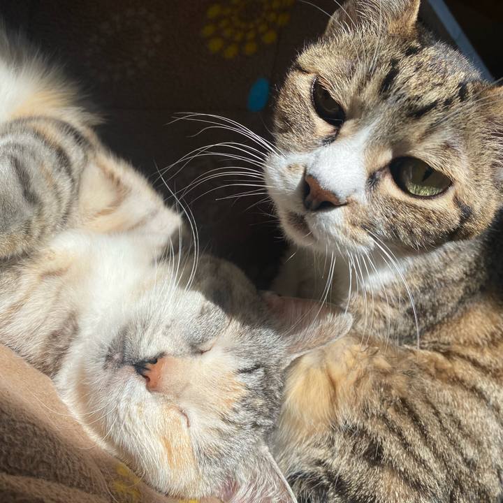 D648bdac e4d0 49da 9650 8a27f1ba6eef 1645157237726