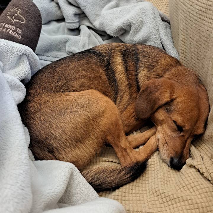 D648c5a4 280b 4b75 907b 4afe6bea0e20 1762741618024