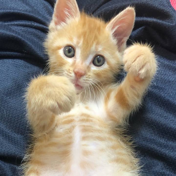 D648d7ec 3c02 46c6 9f03 3086c79910ad 1561367633111