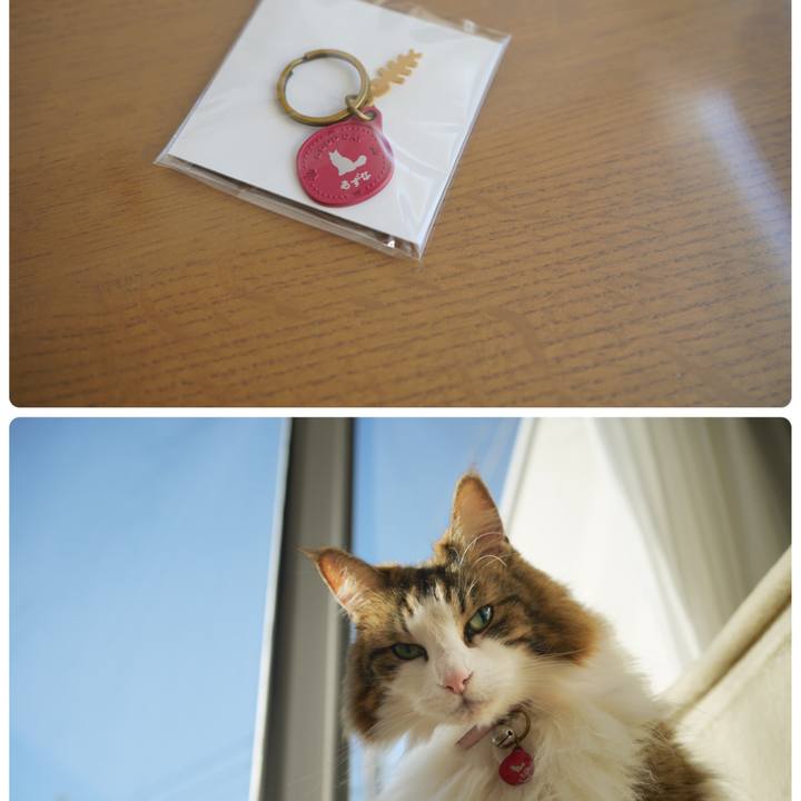 D648e575 e10f 4376 8c90 e5d3b56b5e6a 1698817312922