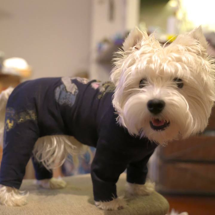 D648e762 1613 495e 847a bd67ffb206cc 1528419370508