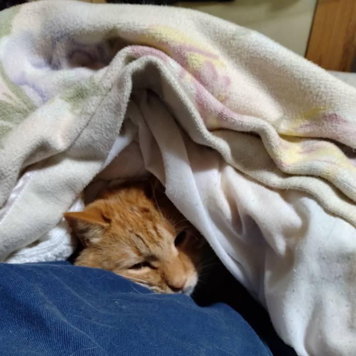 D6490211 f546 4297 8423 bdd18416a7cb 1697976111490