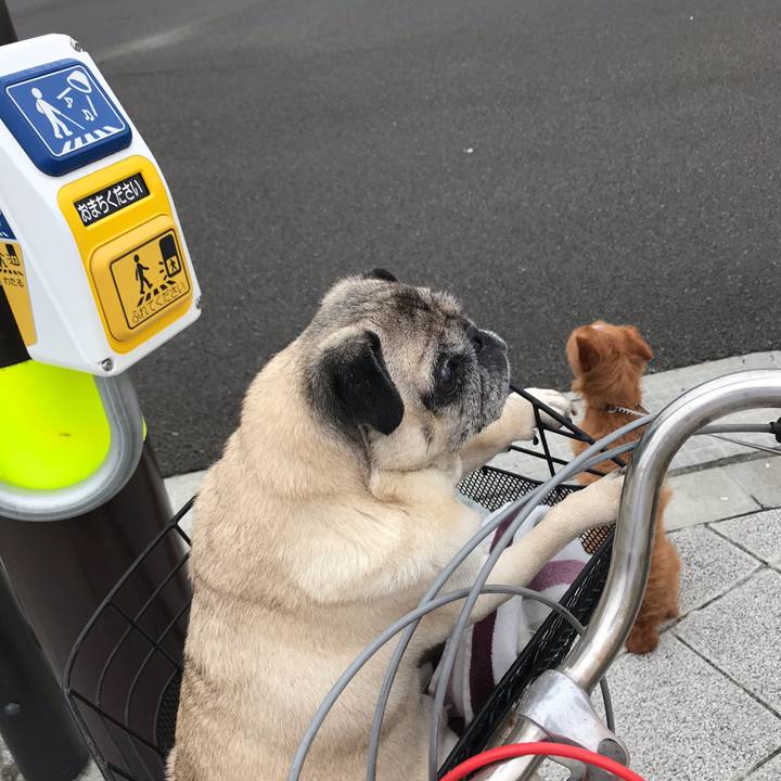 D6493536 6ef8 43a4 aa22 ba90ebc1de04 1563666337584