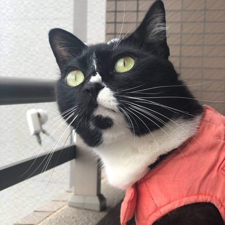 D6493f61 8232 4f0f 87c9 e1395af97737 1569218592104