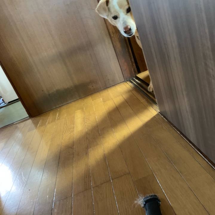 D6496c67 a096 4b20 97f2 a197393edb92 1560383361254