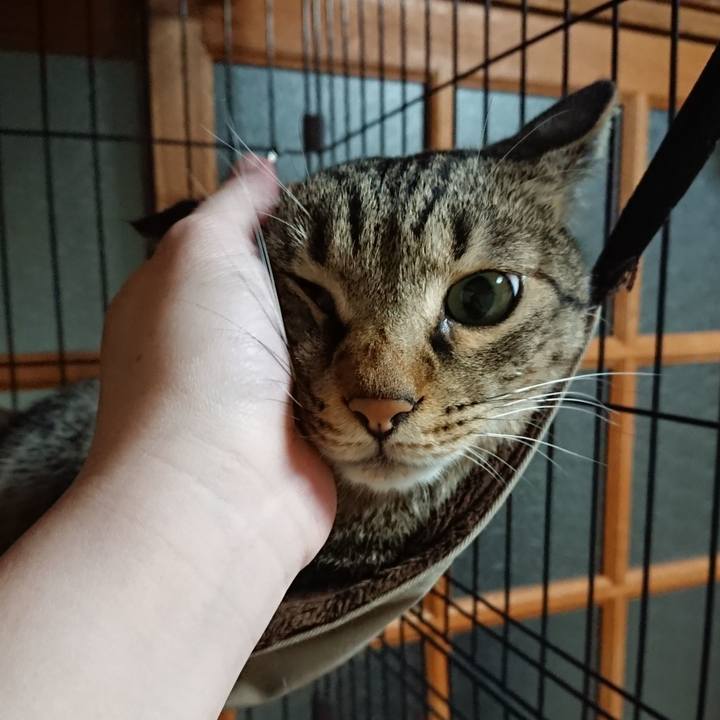 D6497e9d aaa9 47ae 82ab 562059b662c2 1563621095716