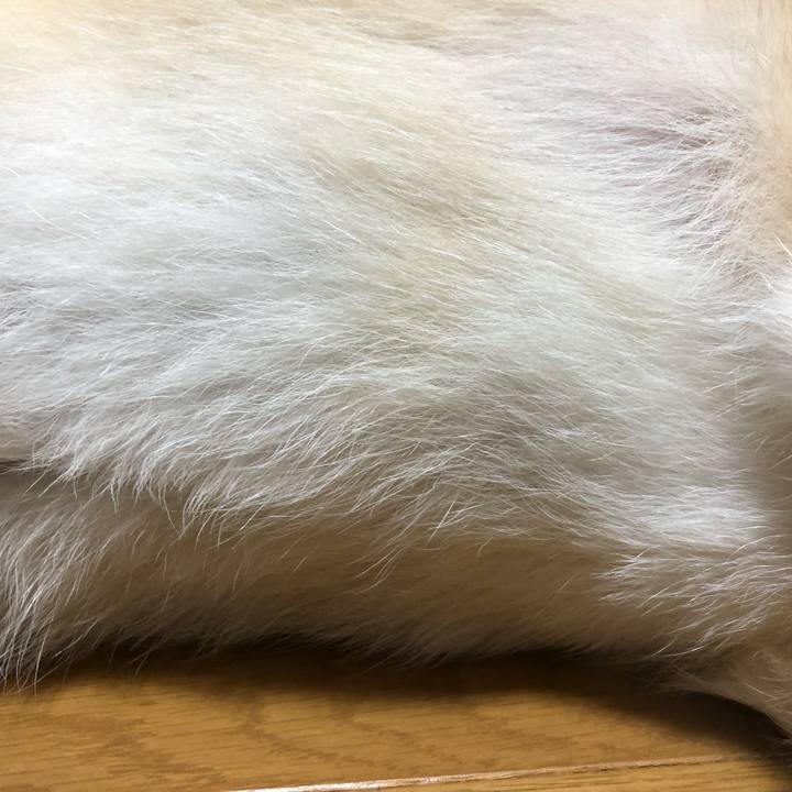 D6498cd3 ad09 44d7 b763 7abbd5ce0ce3 1593573150525