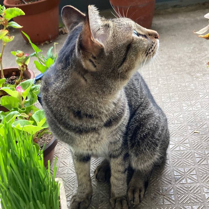 D6499481 f2a1 4248 9b0d d87378d18afe 1758234735745