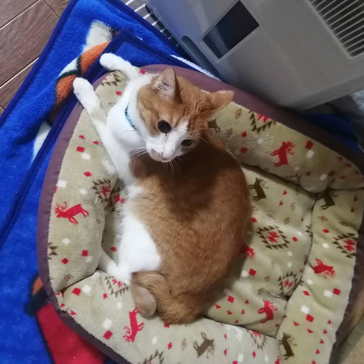 D649bf1b 9da3 4890 a9a3 6cc740758ecd 1622759044249