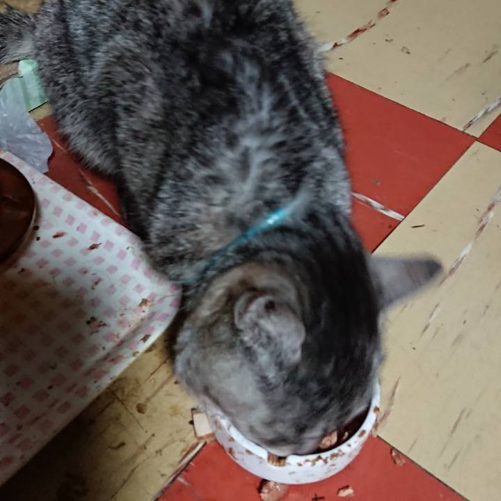 D649c519 1d85 4fc2 9b75 d7076130ed83 1550910394652