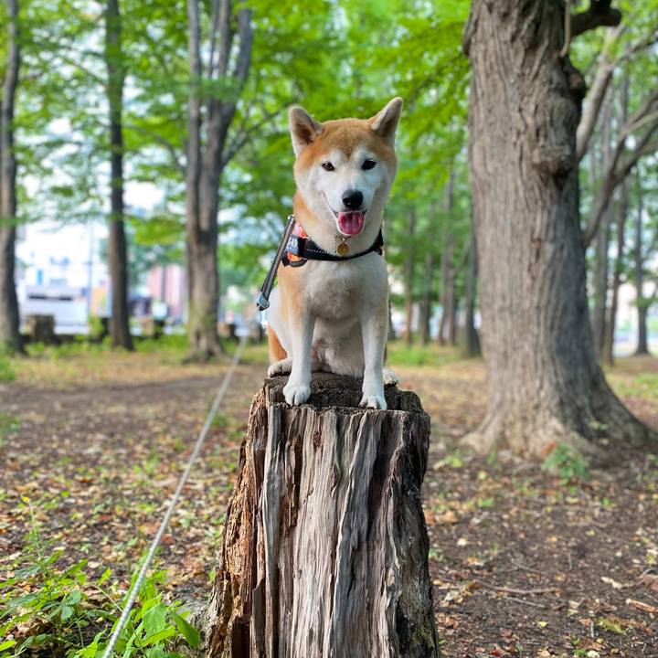 D649d90b 3a60 4b71 b61f 6fcf85c6e53d 1627564832713