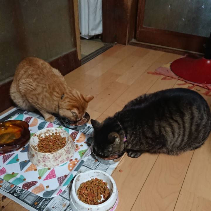 D649db12 eccb 4f78 8f8f a99d2b80e98c 1652306905750