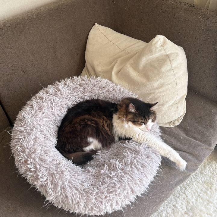 D64a342f d565 40c9 88db e18f24bf1bd1 1767493397972