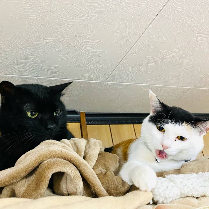 D64a448b c50b 4f42 a8d8 a824fbea4709 1675981004353