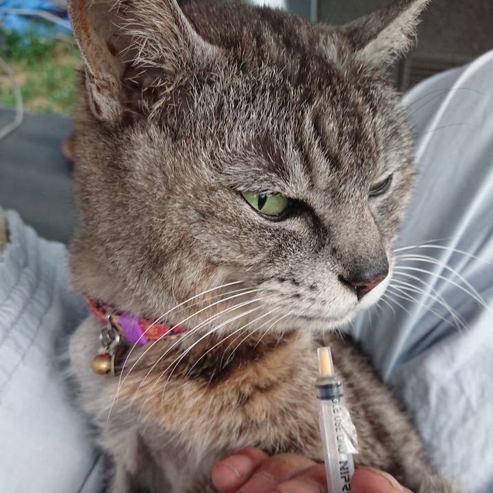 D64a510a 617b 4220 a573 db66e7043187 1591821828354