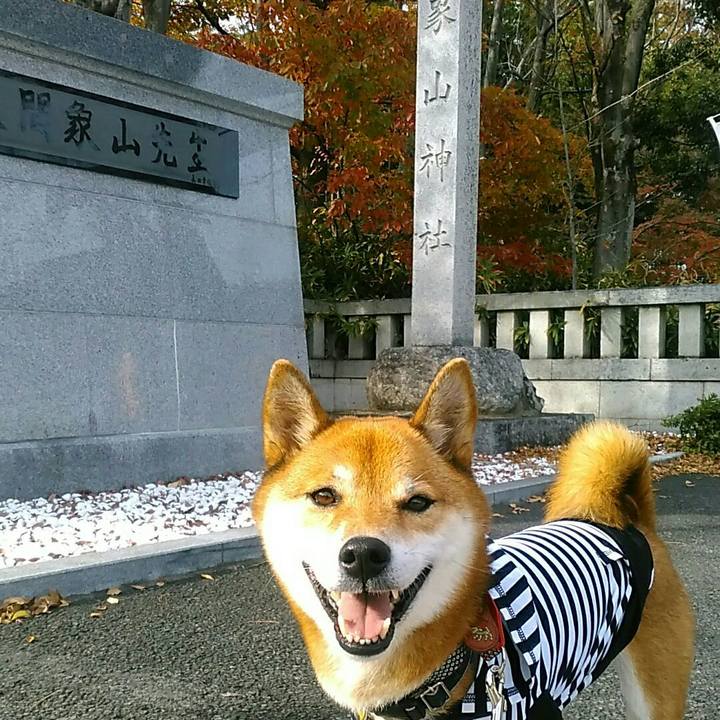 D64a5dc7 f33a 45a9 a9eb 8397f5d093c7 1574595430438