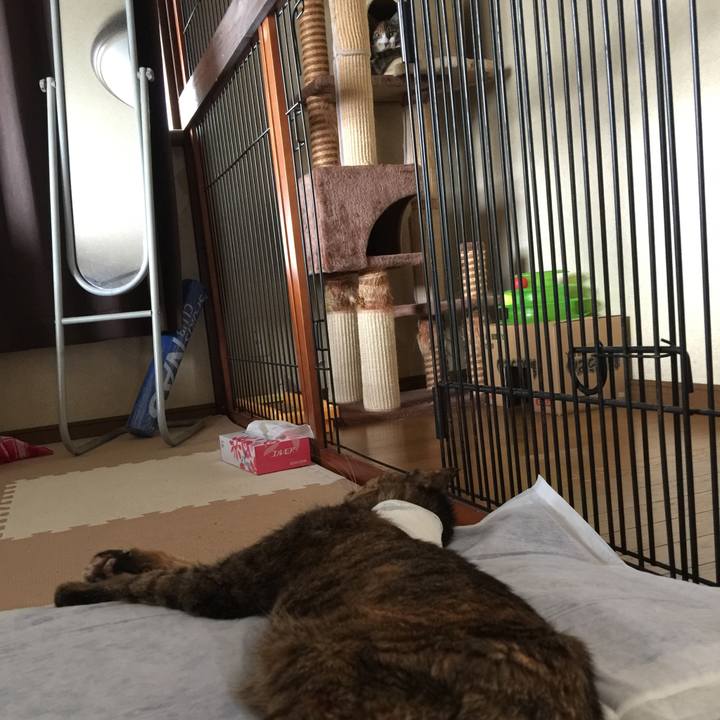 D64aa620 1c11 411e ba3f b57c72e39bcd 1663728851555