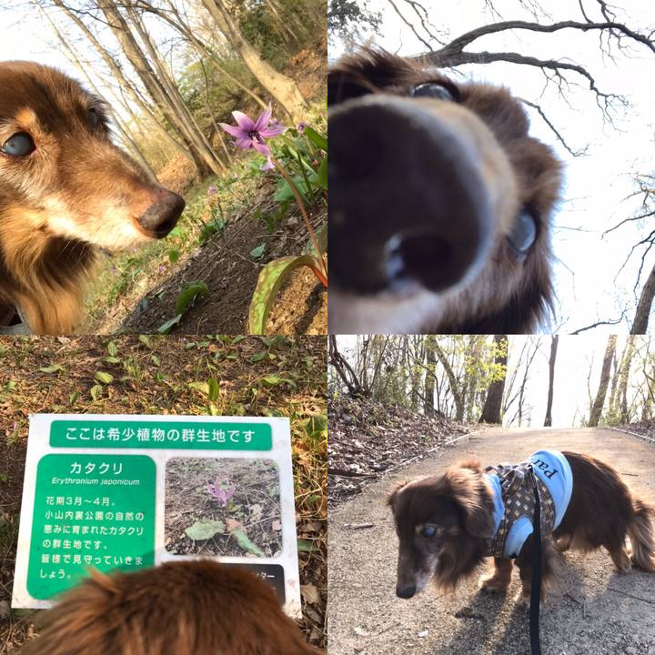 D64aaf2a 1938 4e71 afa0 715787b5f130 1584947319846