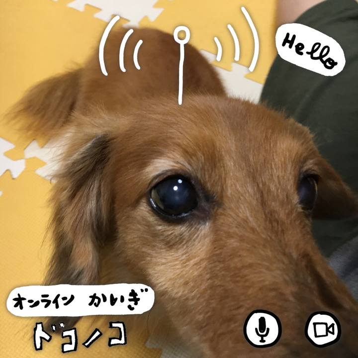 D64ab103 7069 4972 9cdc b2c7a2b49878 1590711786767