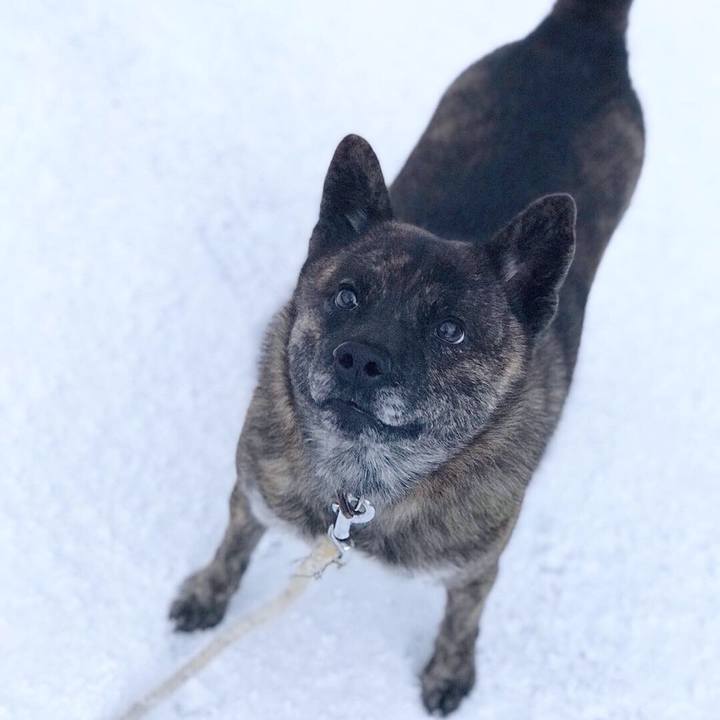 D64ab450 af04 43b1 b157 03d3de66ae05 1545952533771