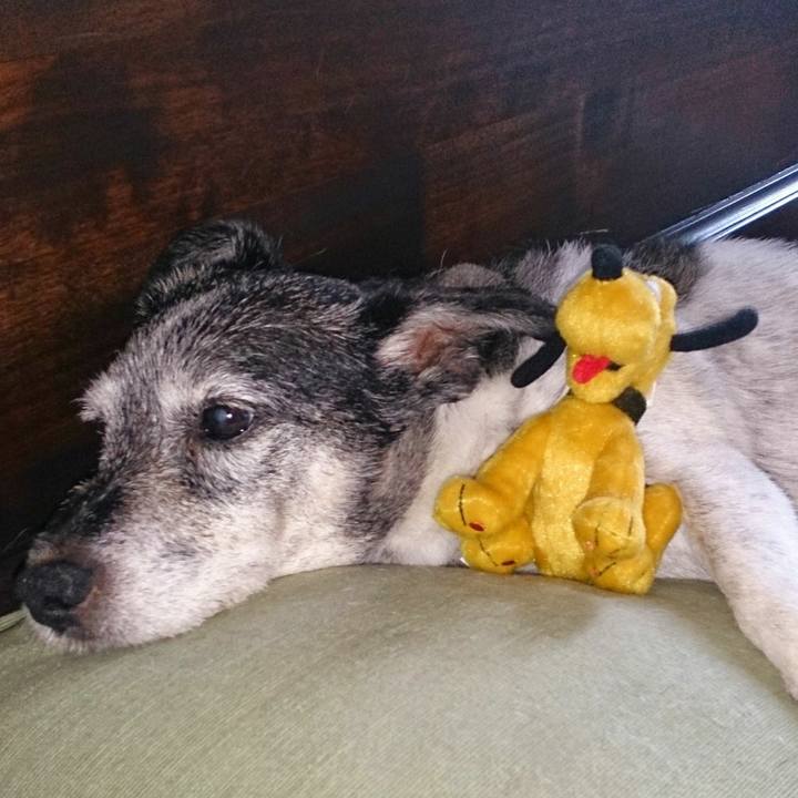 D64af5b5 d217 4346 8a5c 467b9b7c4937 1531209802791