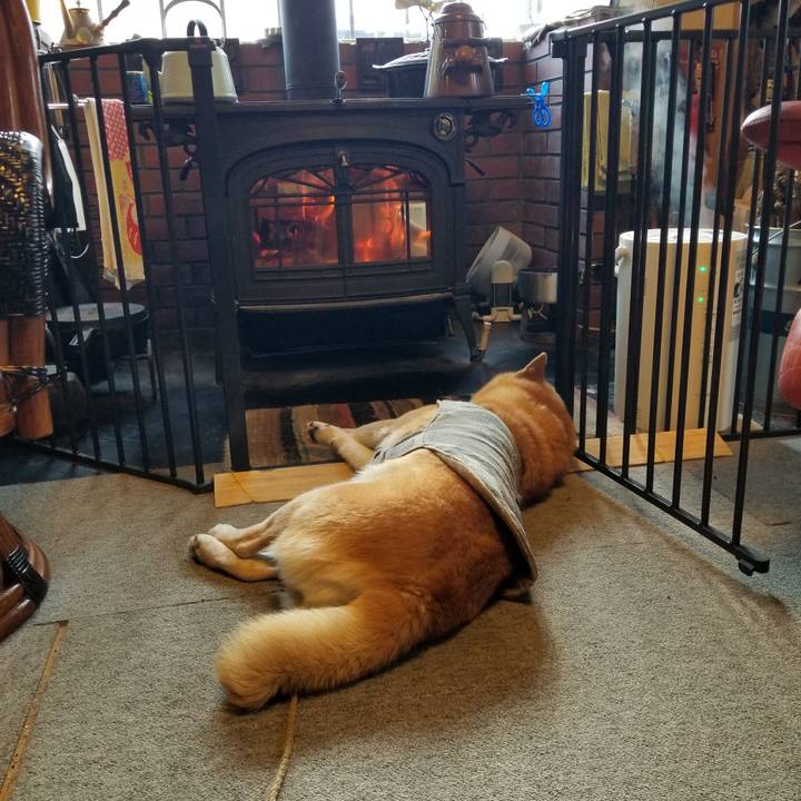 D64af632 7876 4e9a 9da5 4e18440a40ec 1644966419861