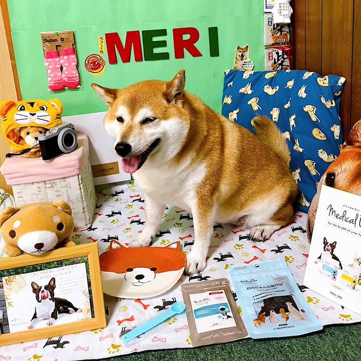 D64b022f 2d75 4c51 bb73 d19ae3aceba8 1655709384723