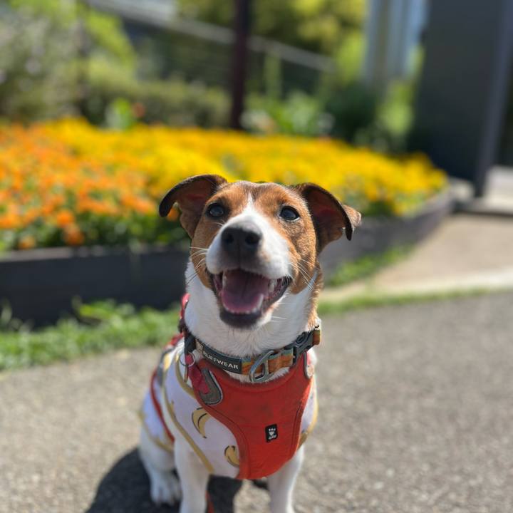 D64b141a 4d65 4f54 ad07 6bab2311b0c5 1714716590995