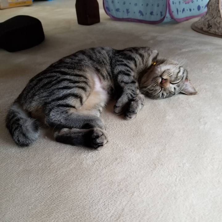 D64b8004 601e 40ed ac2c e4357a363e99 1675232080673