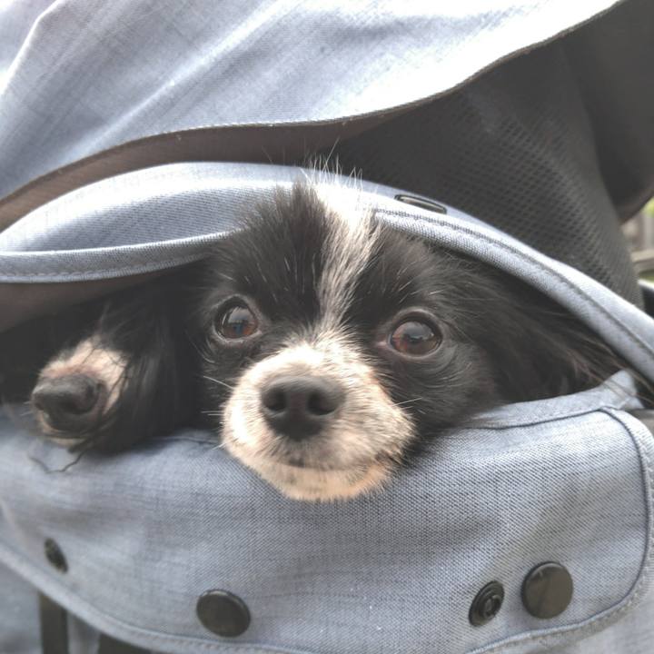 D64b9abc 5e7c 4119 8a14 8d5a6c3eb050 1534401602040