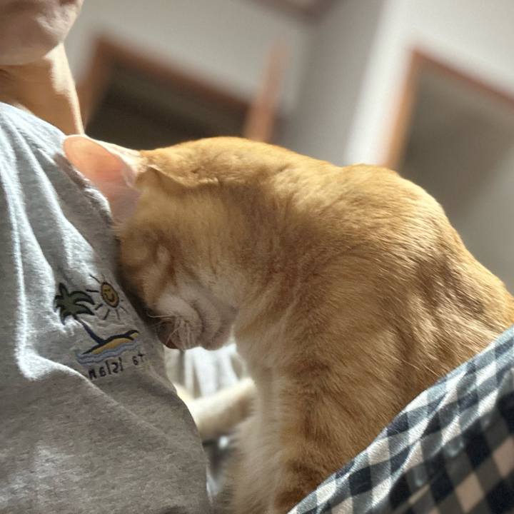 D64bc120 5d4a 4909 a1ce 14b96d0406e8 1671196985917