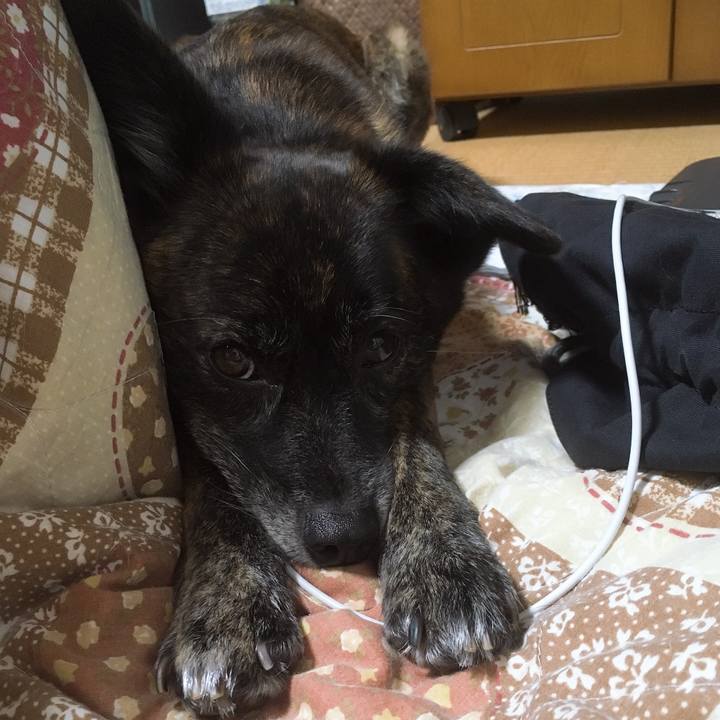 D64bc6d2 fcf9 4268 8fca 7e3bcf0aeb29 1552559255864