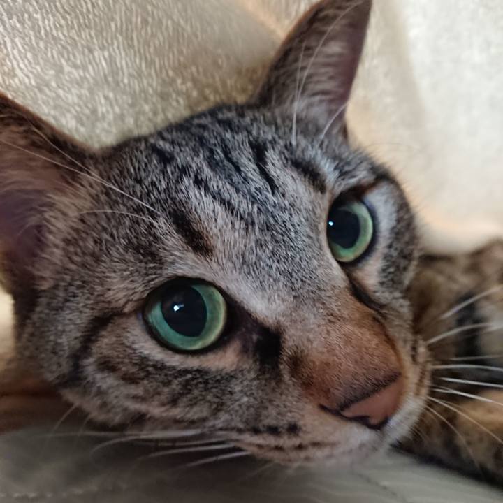 D64bd533 d3b5 4889 8b5a a73a129b1329 1564878899018