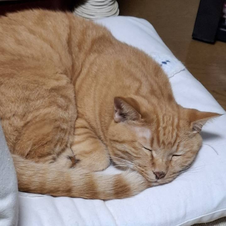 D64bd59d a727 4b2e 8bf9 99abf47523e4 1758634301176