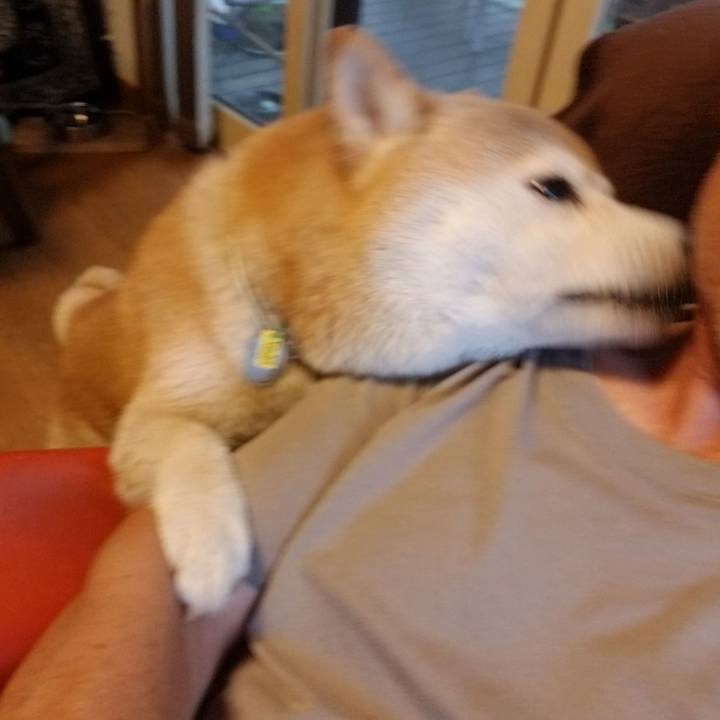 D64be291 c7d3 423b a7f3 ab59c5a932a7 1657869750631