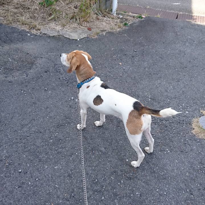 D64c2a56 319b 4af2 b88b c875d525fe00 1573179132313