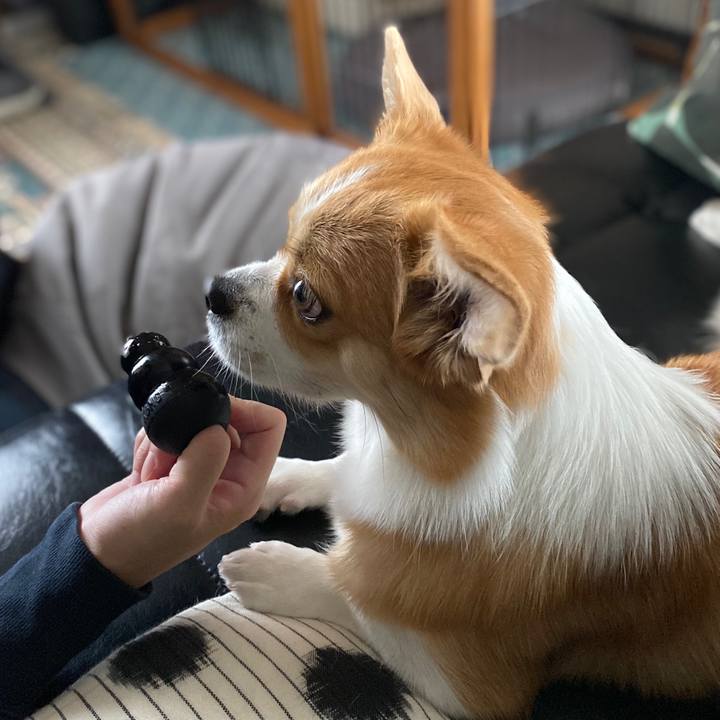 D64c8611 4427 4fbe a869 787f80c8131e 1602388553368