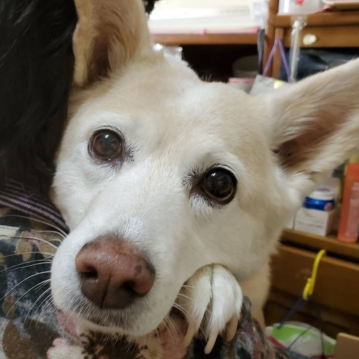 D64cbe7c 1ada 4049 aa45 5d51b4a13122 1612335361318