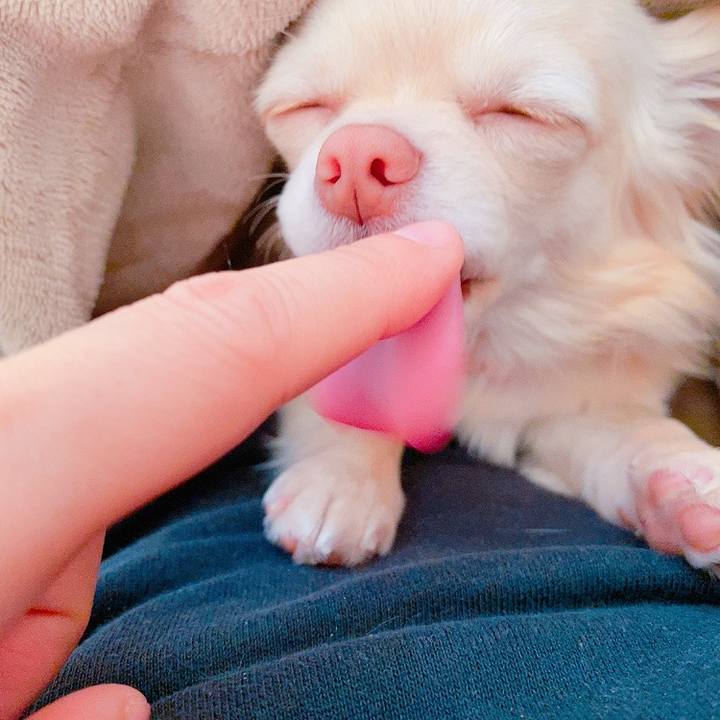 D64cc36c 43f2 4301 87b0 b36eb0e410a6 1614132706243