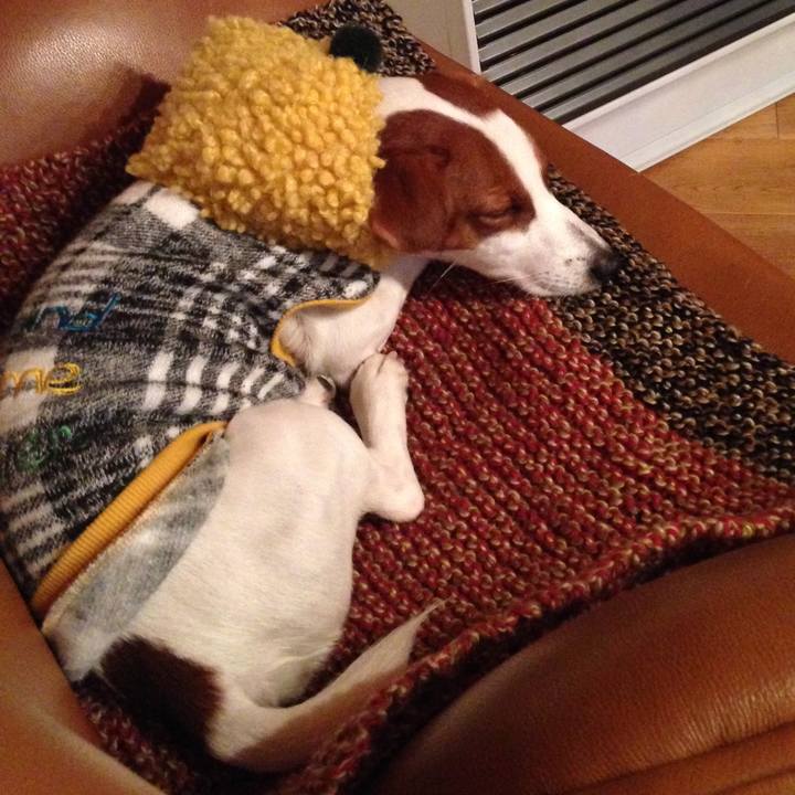 D64cdc33 4da7 4e31 8d72 a31d23f0008c 1514283377215