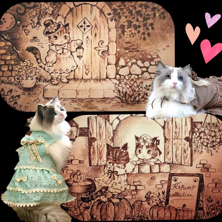 D64cef18 bb72 434c 83b3 96b348f801ad 1591361342405