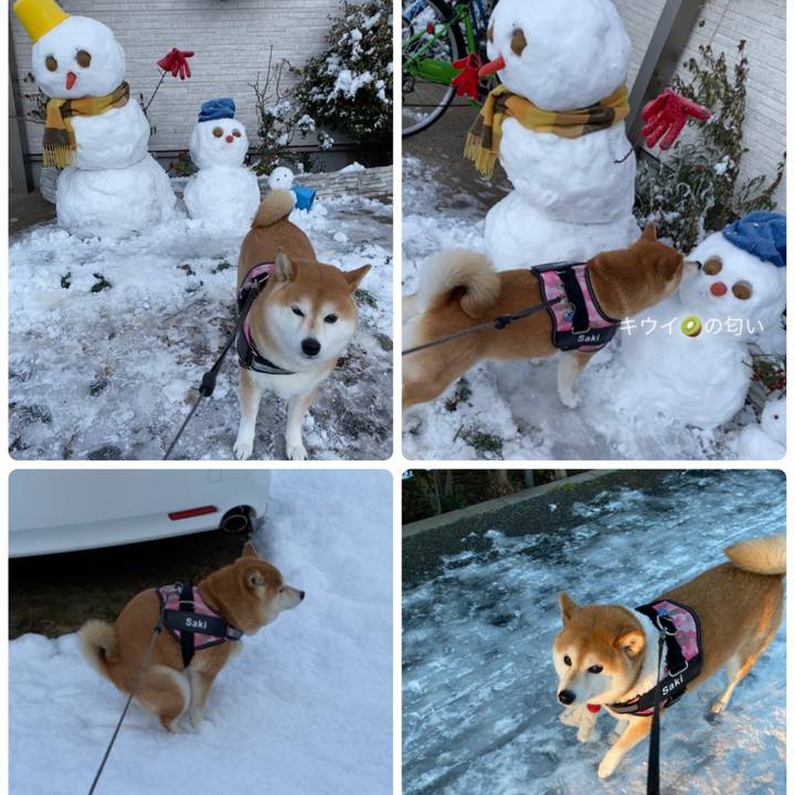 D64cf924 a0d4 4f95 8462 a07b0e0ed4d8 1641601665166