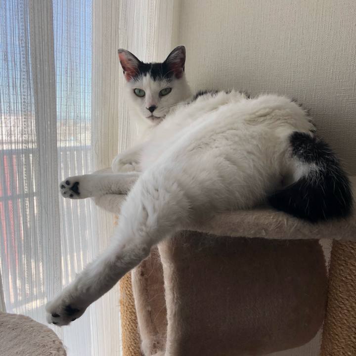 D64cfde5 d277 4858 a11d 0845615a5190 1538350329700