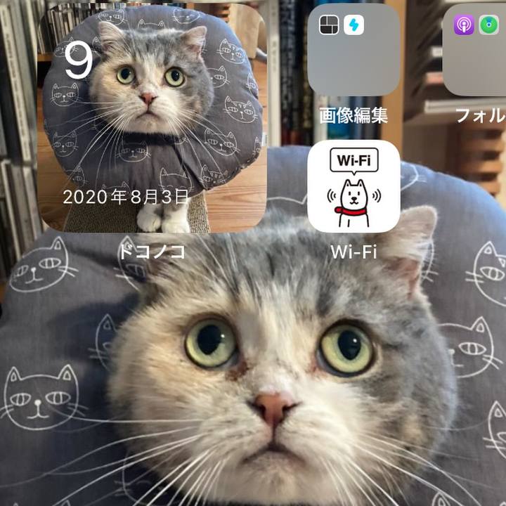 D64d050e d8f5 487e b6fa 014aba520595 1694609571754