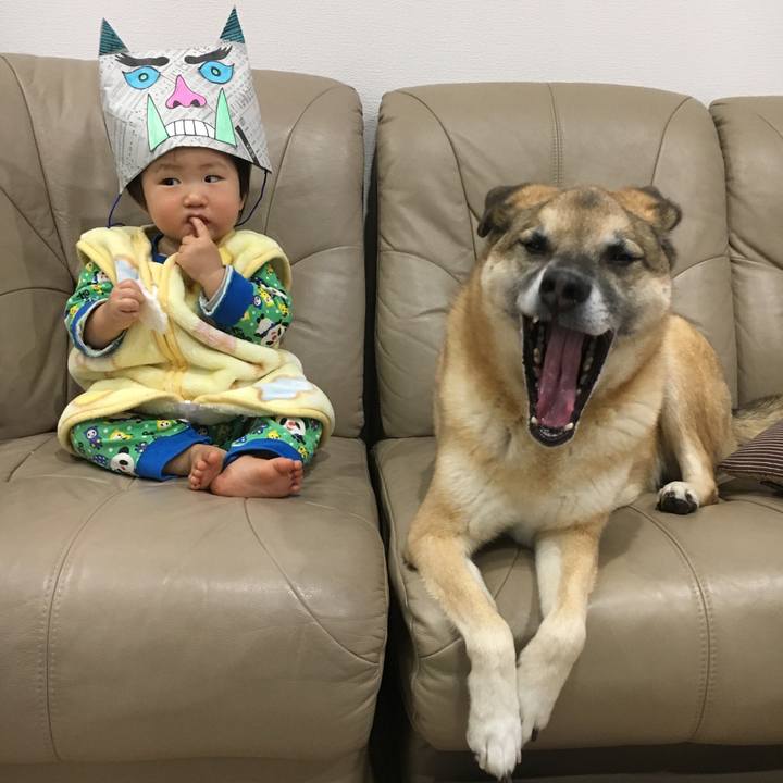 D64d12bb 3b14 4486 ad62 a4e31ffcaf08 1549187703218