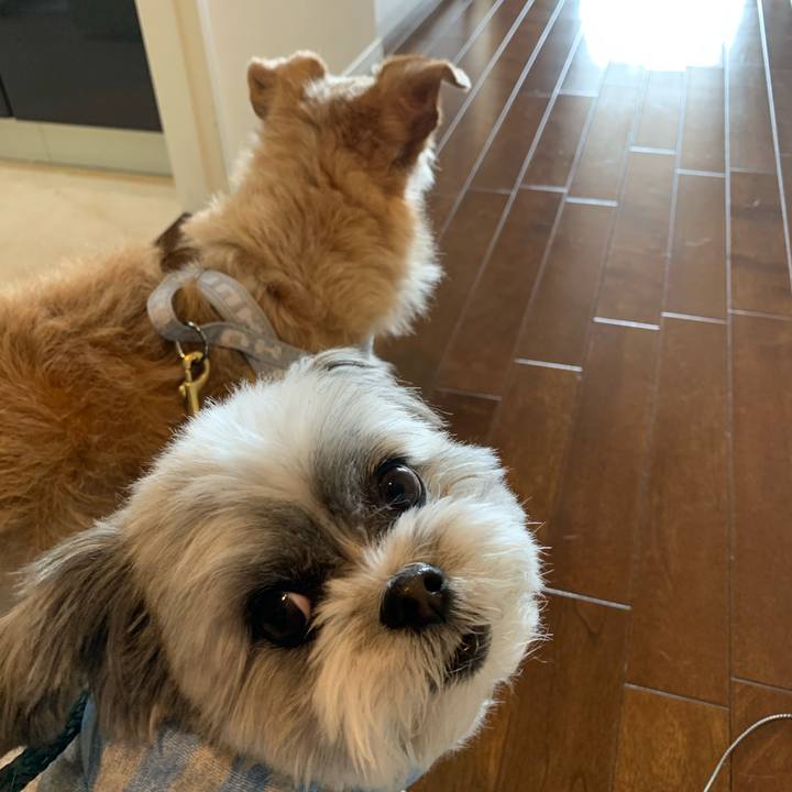 D64d386a c0c1 4773 9f59 c4a6f727f477 1582093706834